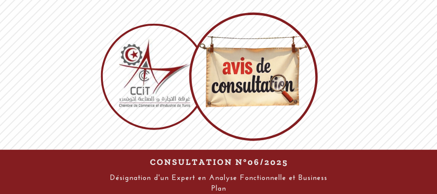 Consultation N°06/2025 | Désignation d’un Expert en Analyse Fonctionnelle et Business Plan