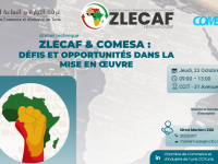 Atelier ZLECAF et COMESA : Défis et opportunités dans la mise en œuvre