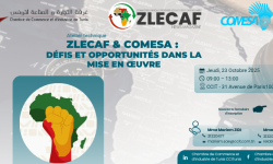 Atelier ZLECAF et COMESA : Défis et opportunités dans la mise en œuvre