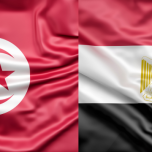 🇹🇳🇪🇬 لقاءات أعمال ثنائية تونسية – مصرية في قطاع الصناعات الهندسية (B2B)