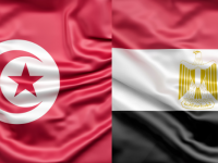 🇹🇳🇪🇬 لقاءات أعمال ثنائية تونسية – مصرية في قطاع الصناعات الهندسية (B2B)